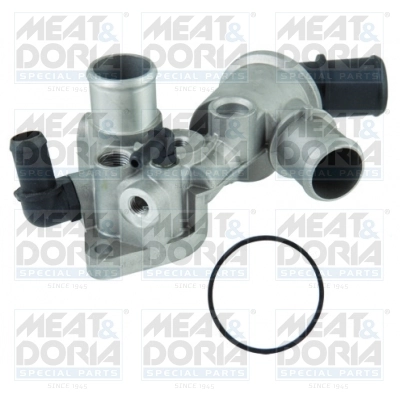 Thermostat, coolant